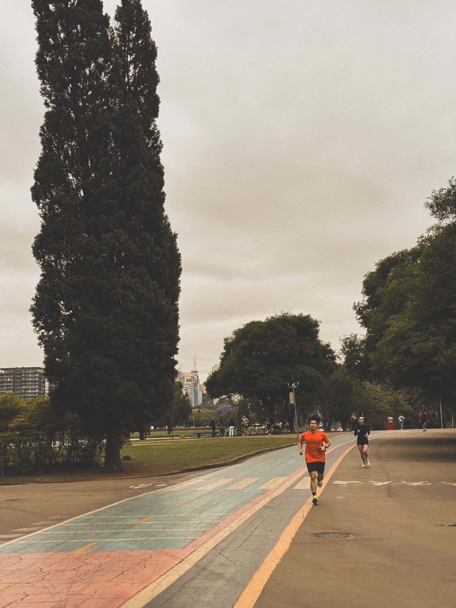 Amber Film thumbnail 3