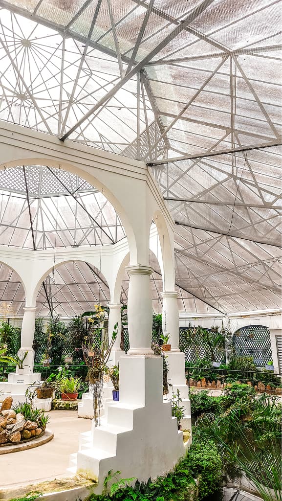 Clean Light - Depois