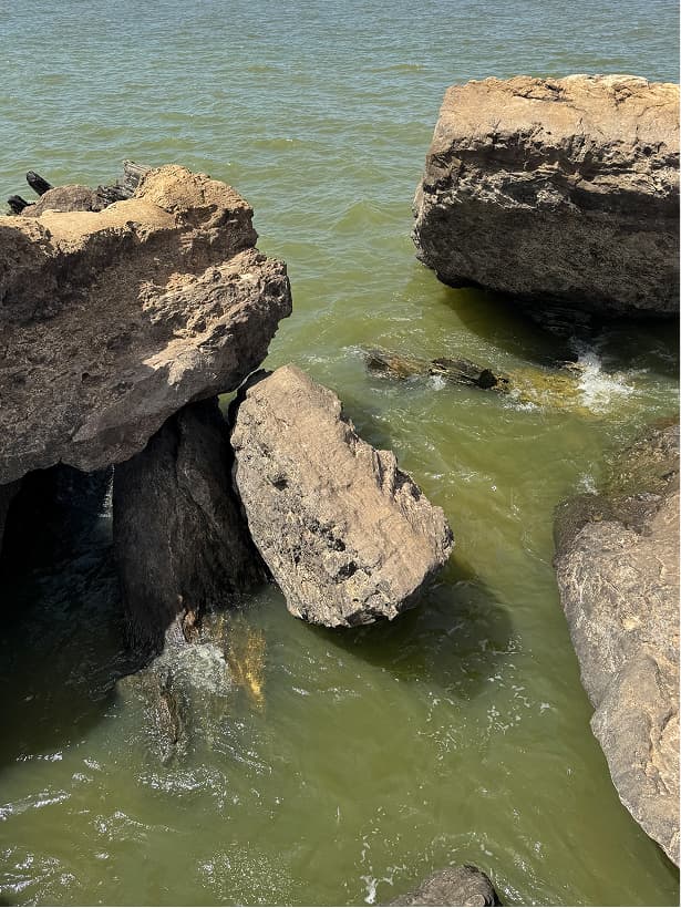 Preto e Branco Vintage - Antes